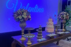 WhatsApp-Image-2026-02-19-at-15.02.12