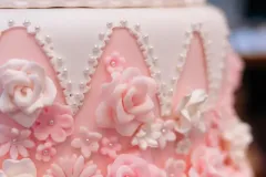 WhatsApp-Image-2026-02-19-at-15.15.22