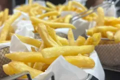 WhatsApp-Image-2026-02-20-at-18.47.03